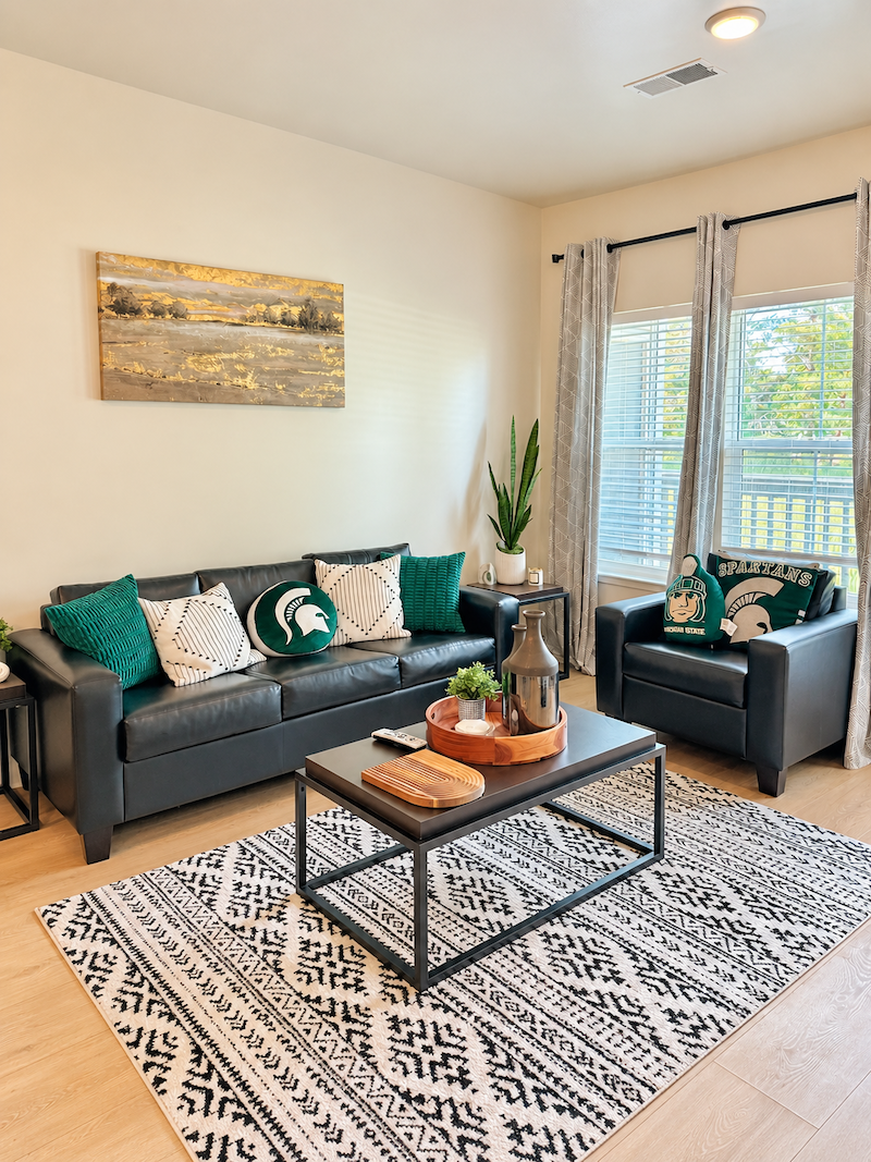 living room leather sofa seating